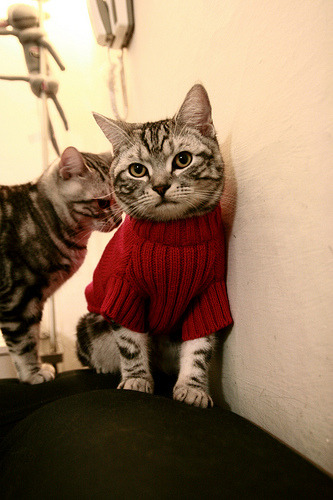 五大联赛教练年薪排行是否与战绩相符，五大联赛教练工资