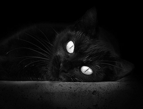 kaiyun开云·官方网站-亚洲杯中国青年队战胜 球员表现备受认可，中国队亚青赛冠军