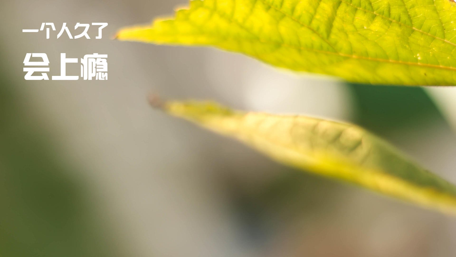 赛制优势与劣势:德国队如何在国际乒联混合团体世界杯中提升战斗力