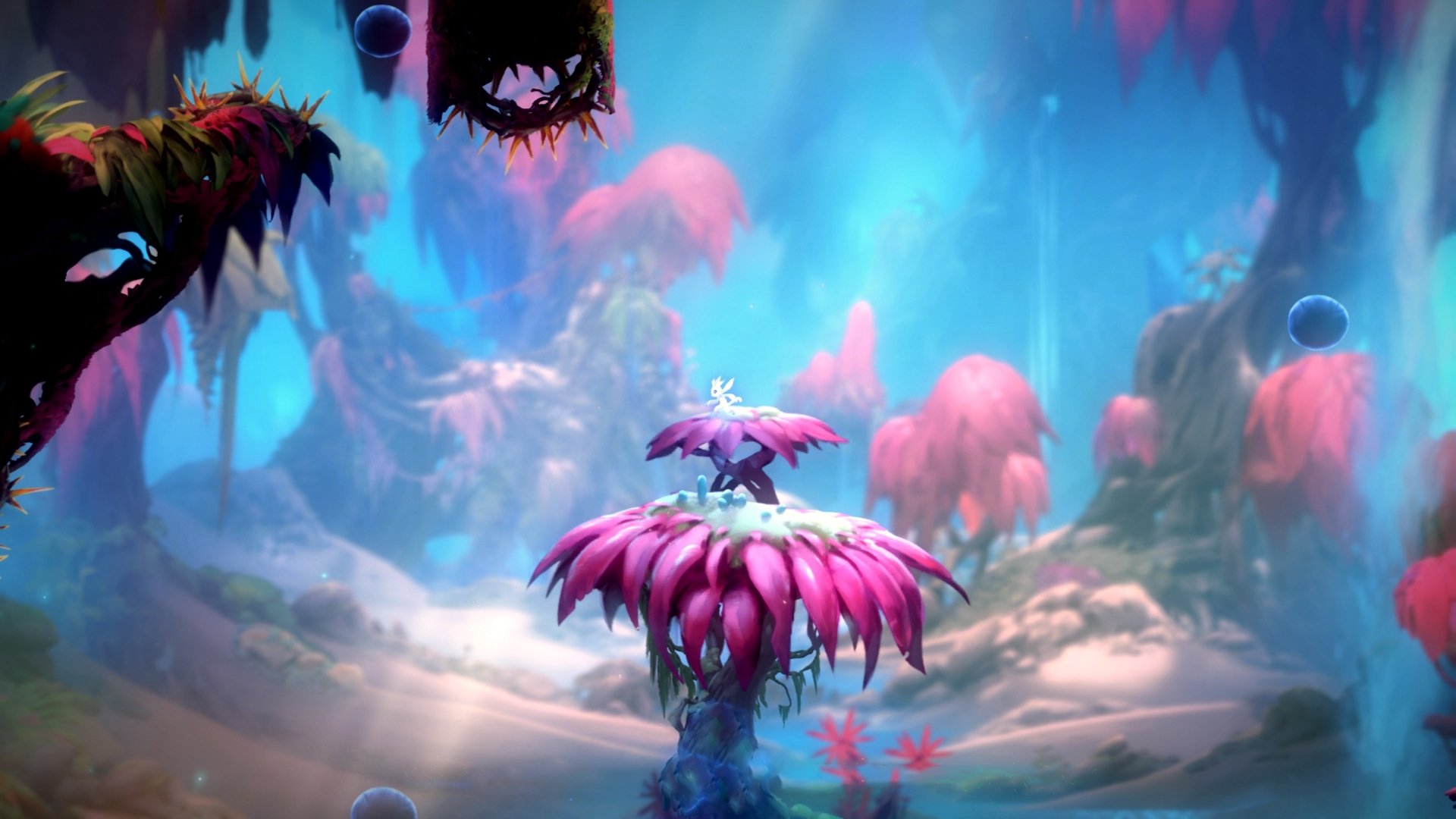 “马科斯·梅特罗的灵活突破与精确传球，带领阿根廷美洲狮队勇闯世界”