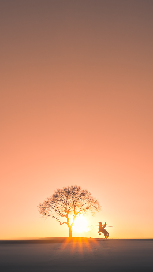 国家棒球队新闻中心提示选拔测试时间及流程，中国国家棒球队