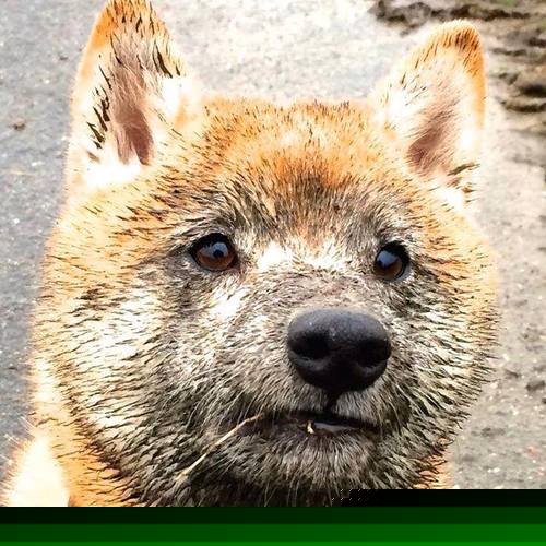 开云注册-曼联绝杀切尔西终结不胜魔咒，曼联vs切尔西谁厉害