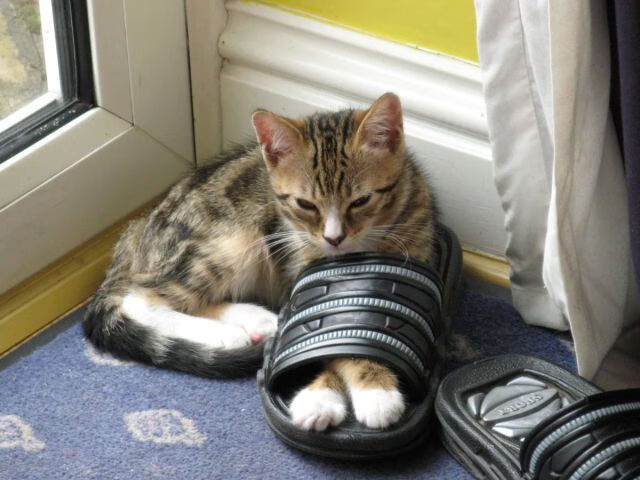 曼联绝杀切尔西终结不胜魔咒,曼联vs切尔西谁厉害