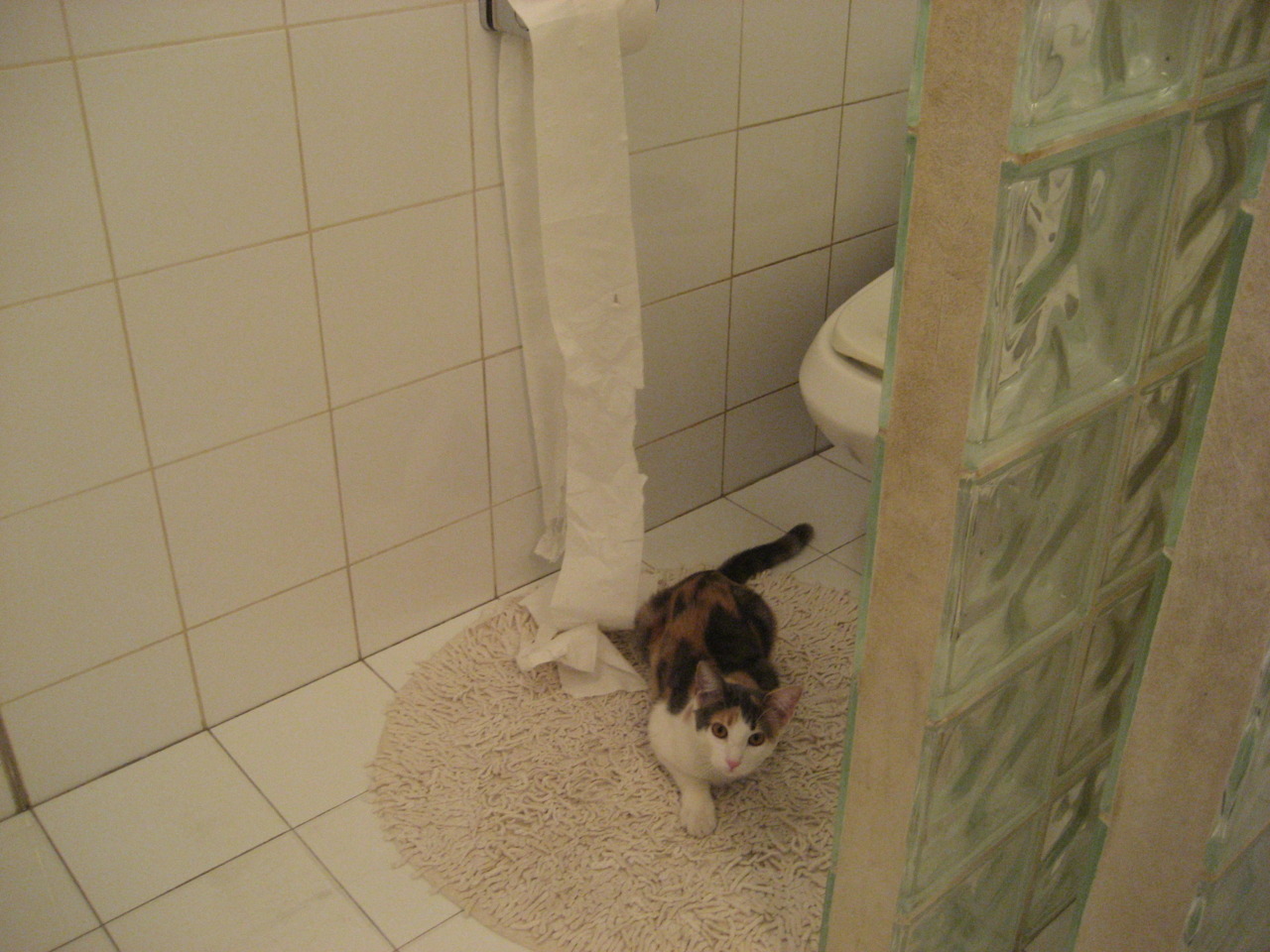 独行侠官方商城上线新赛季主题周边产品，独行侠今日首发