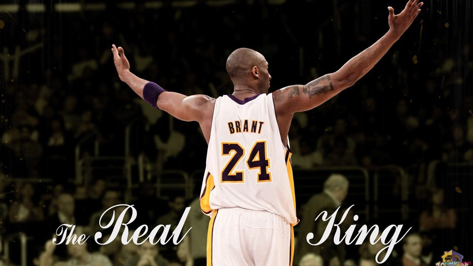 “萨尔·巴赫如何与南非羚羊队一起重塑橄榄球文化”