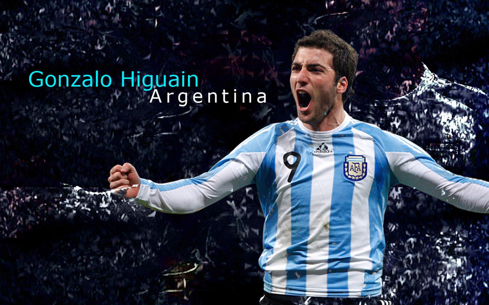 “高新体育中心武术比赛：看选手如何在短短数秒间决胜负”